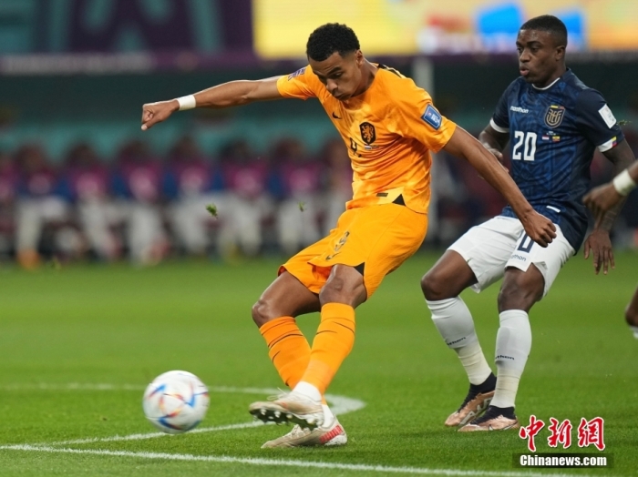 加克波双响成就世界杯首人 荷兰新星闪耀卡塔尔