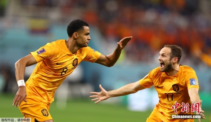 加克波双响成就世界杯首人 荷兰新星闪耀卡塔尔